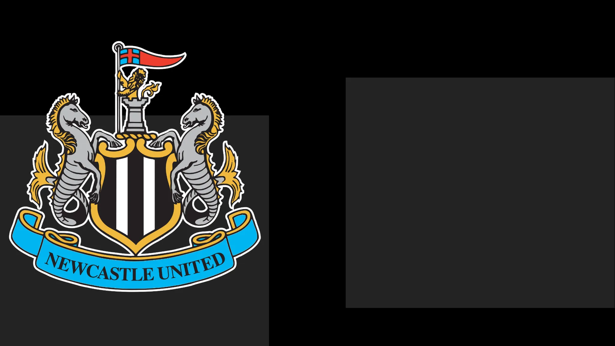 Newcastle's boss Hails Team's Heart – But That Only Carries Them To a Point